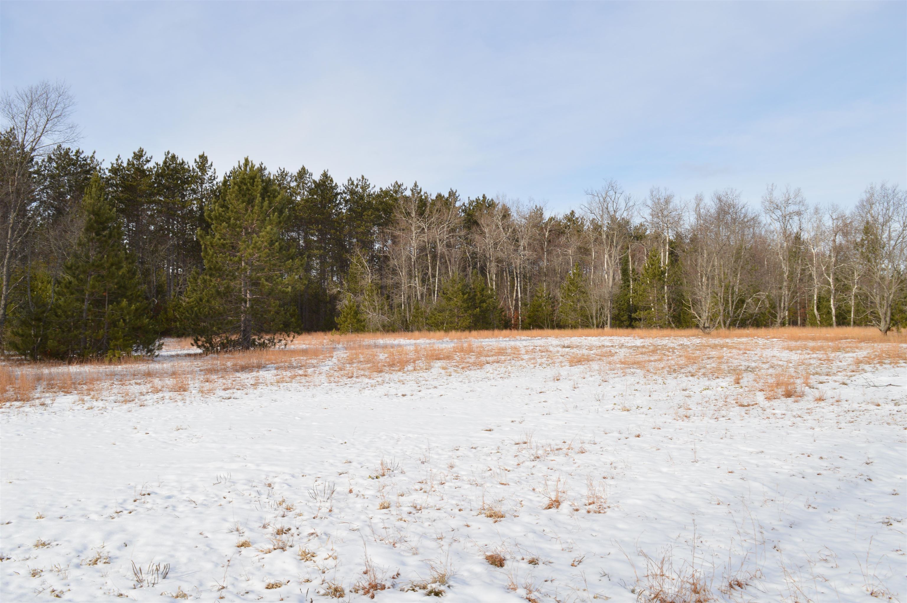 Off Wood Road Northeast Kalkaska, MI 49646 - Photo 15 of 22