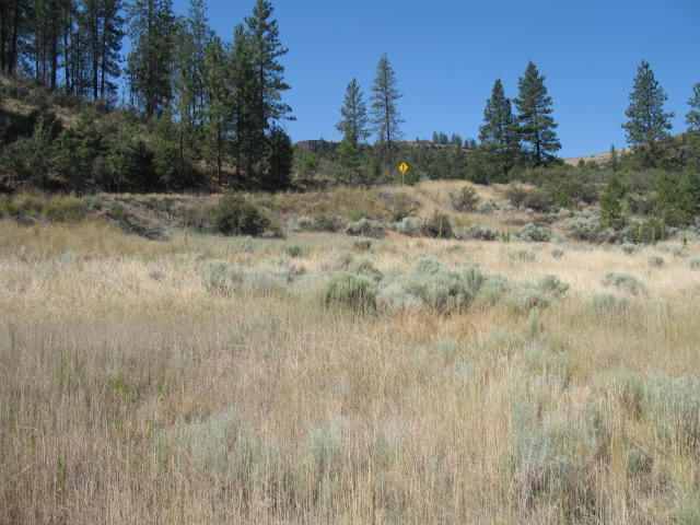16610 East Jones Road Wilbur, WA 99185 - Photo 3 of 3 Gallery Image 3