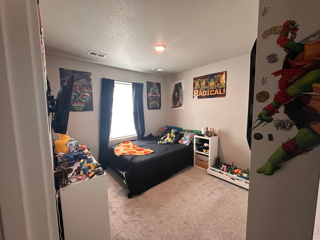 331 Lone Pine Street Fort Lupton, CO 80621 - Photo 7 of 13