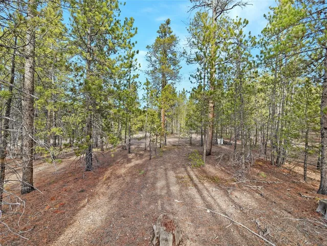 a view of outdoor space with trees