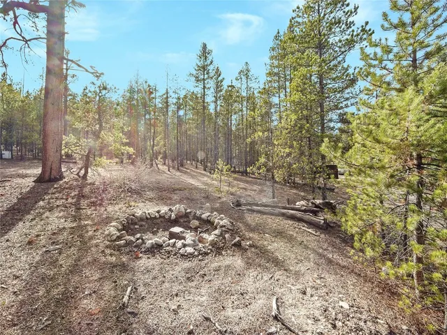 a view of outdoor space and yard