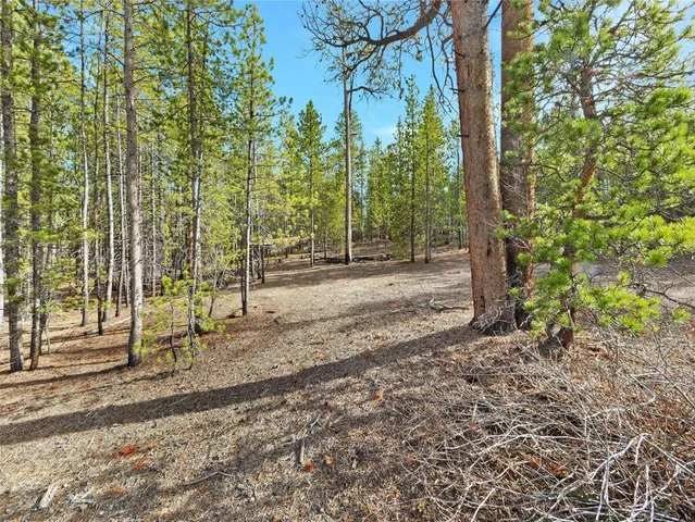 a view of a road with plants and trees