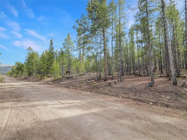 a view of a forest with trees