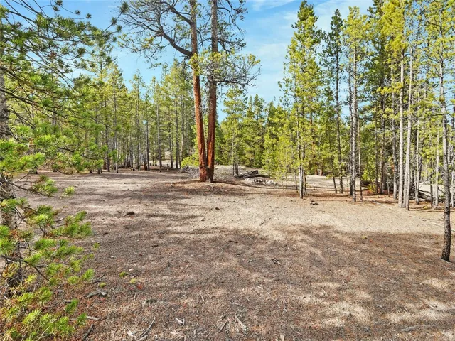 a view of road with trees