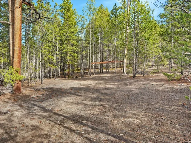 a row of trees with small trees