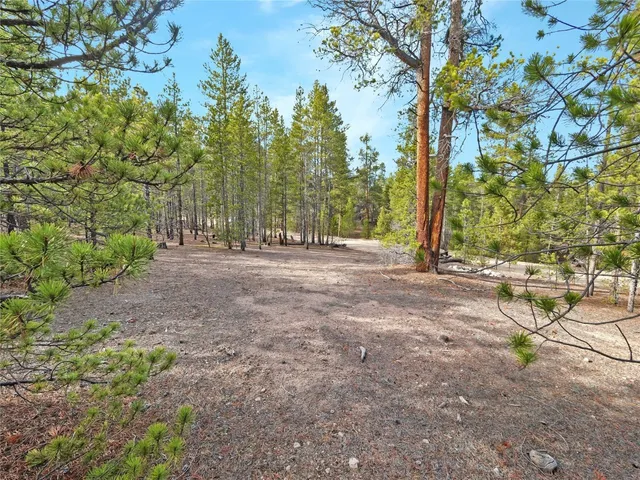 a view of outdoor space with trees