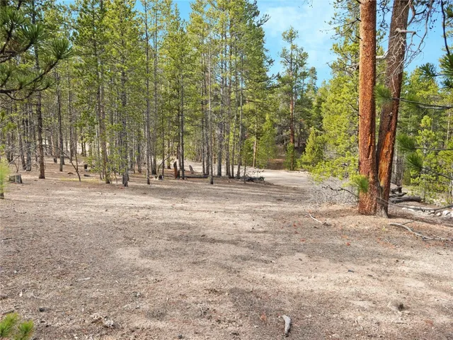 a view of road with trees