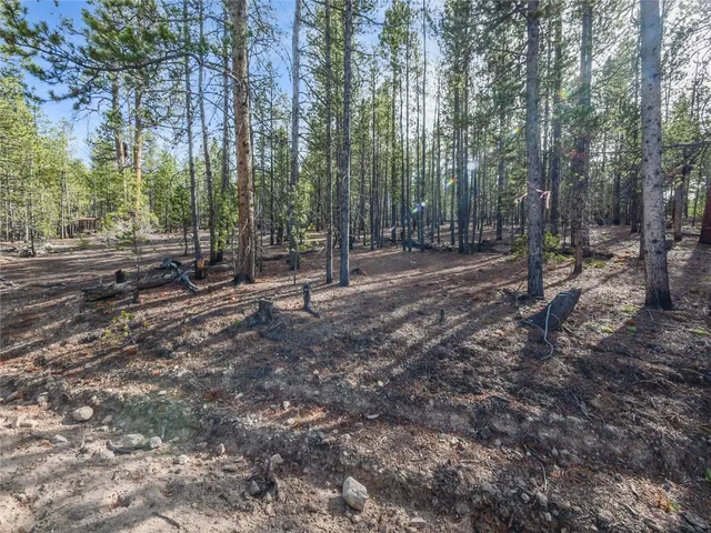 a view of outdoor space with green space