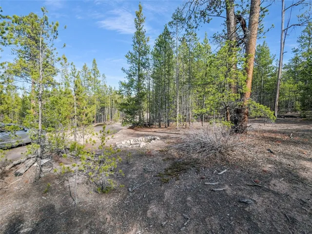 a view of outdoor space with trees