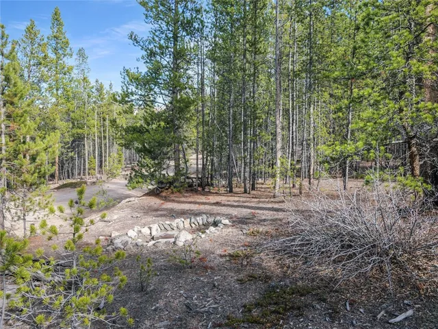 a view of a forest with trees