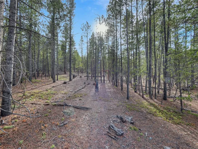 a view of outdoor space with trees