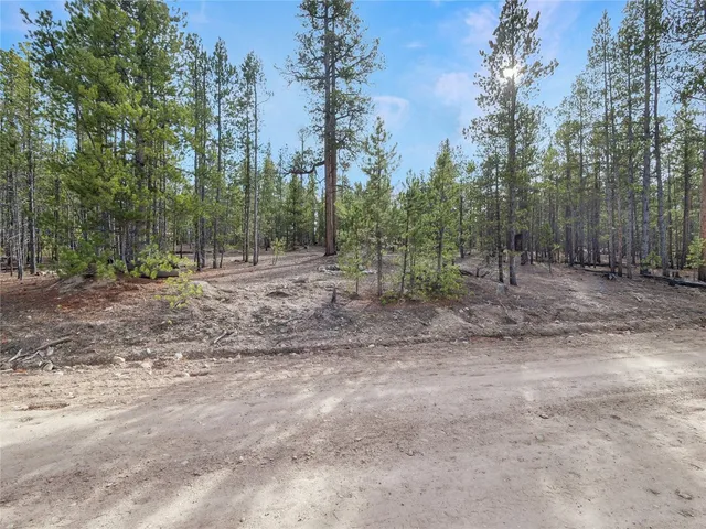 a view of outdoor space and trees