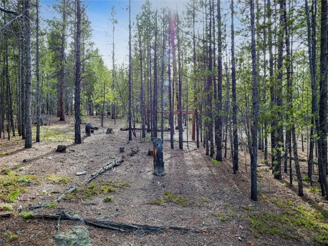 a view of outdoor space with lots of trees