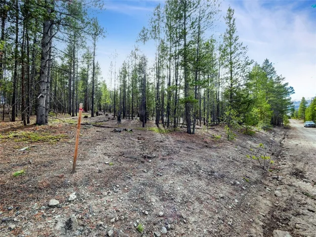 a view of outdoor space with trees