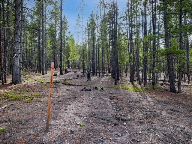a view of outdoor space with green space