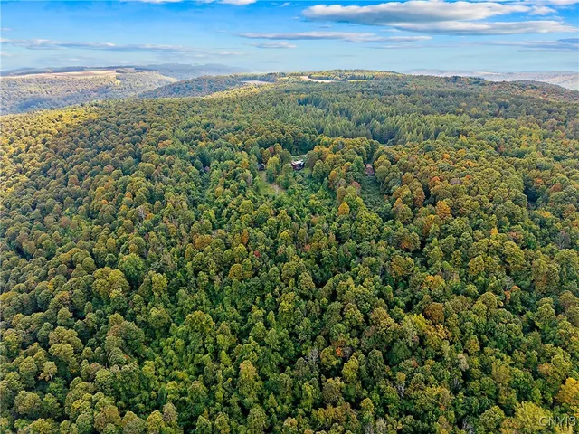 $250,000 | 8923 Wildwood Chase, Springwater, NY 14572