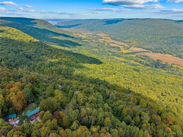 $250,000 | 8923 Wildwood Chase, Springwater, NY 14572