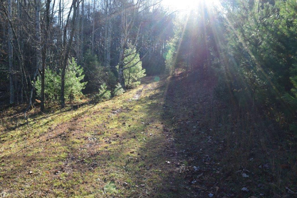 Tbd Spring Dale Road Southwest Floyd, VA 24091 - Photo 53 of 57 Gallery Image 53