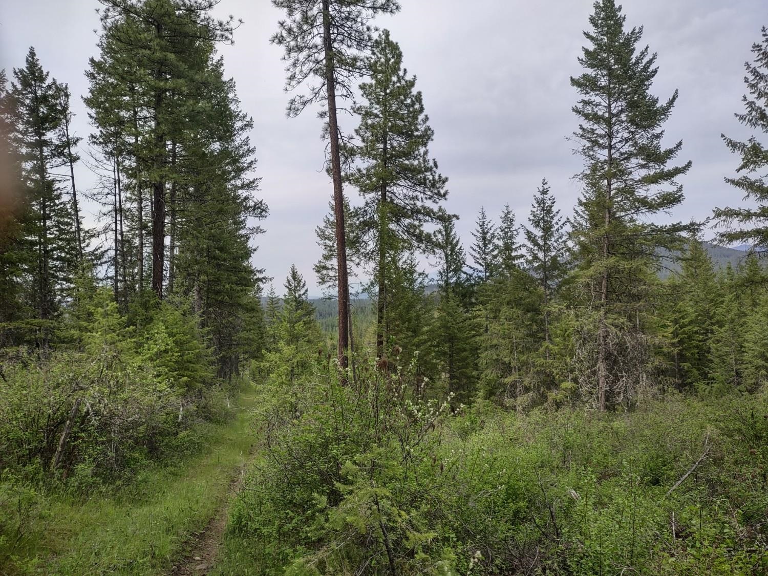 Xxx East Jumpoff Road, Unit 125 ACRES Valley, WA 99181 - Photo 1 of 11
