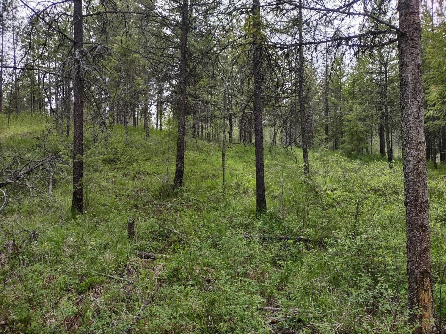 Xxx East Jumpoff Road, Unit 125 ACRES Valley, WA 99181 - Photo 4 of 11