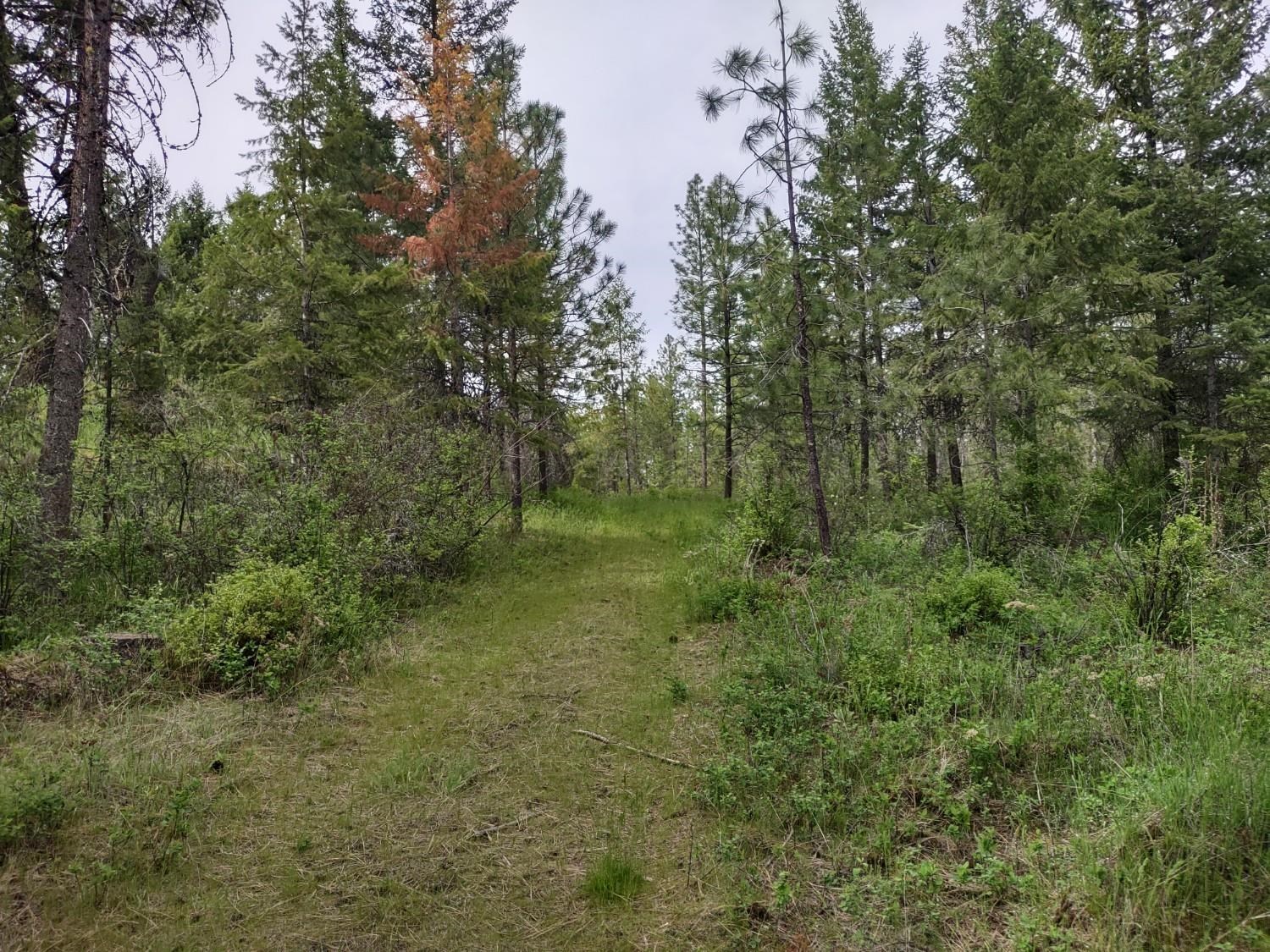 Xxx East Jumpoff Road, Unit 125 ACRES Valley, WA 99181 - Photo 5 of 11