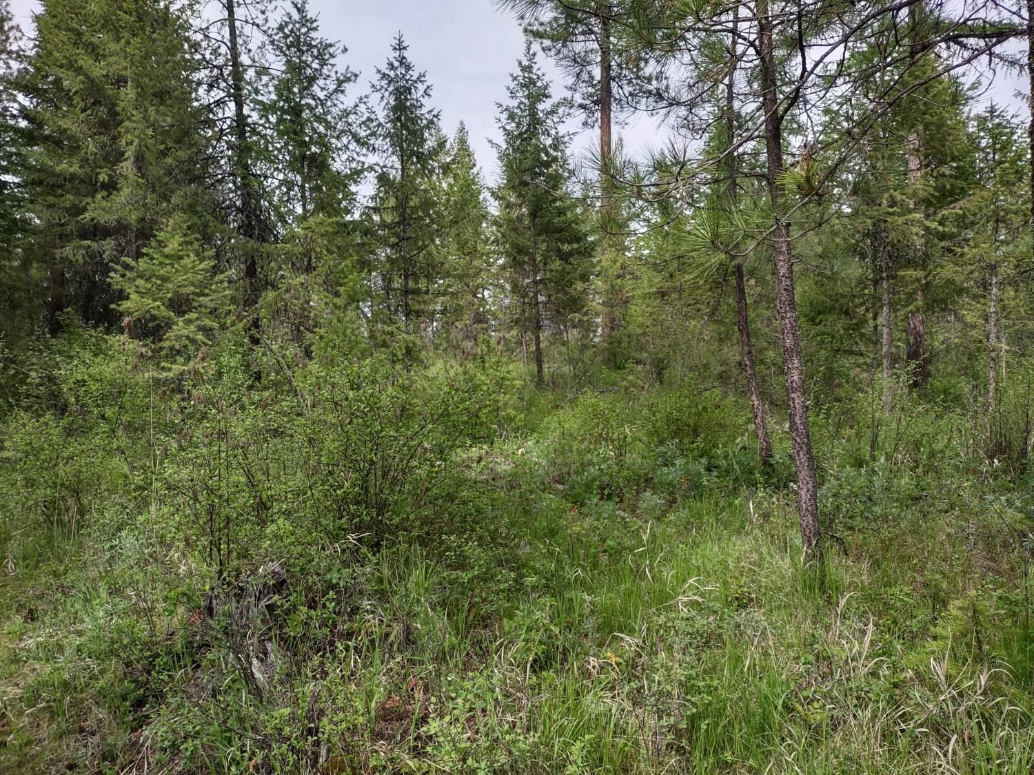 Xxx East Jumpoff Road, Unit 125 ACRES Valley, WA 99181 - Photo 6 of 11