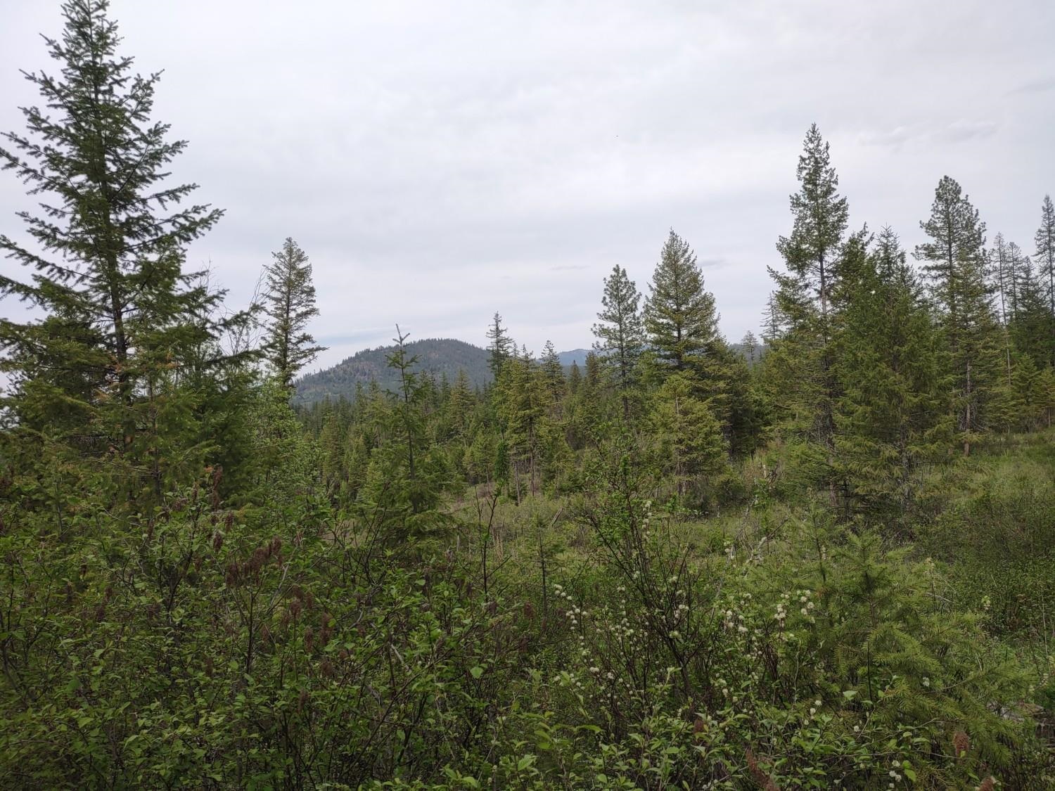 Xxx East Jumpoff Road, Unit 125 ACRES Valley, WA 99181 - Photo 7 of 11