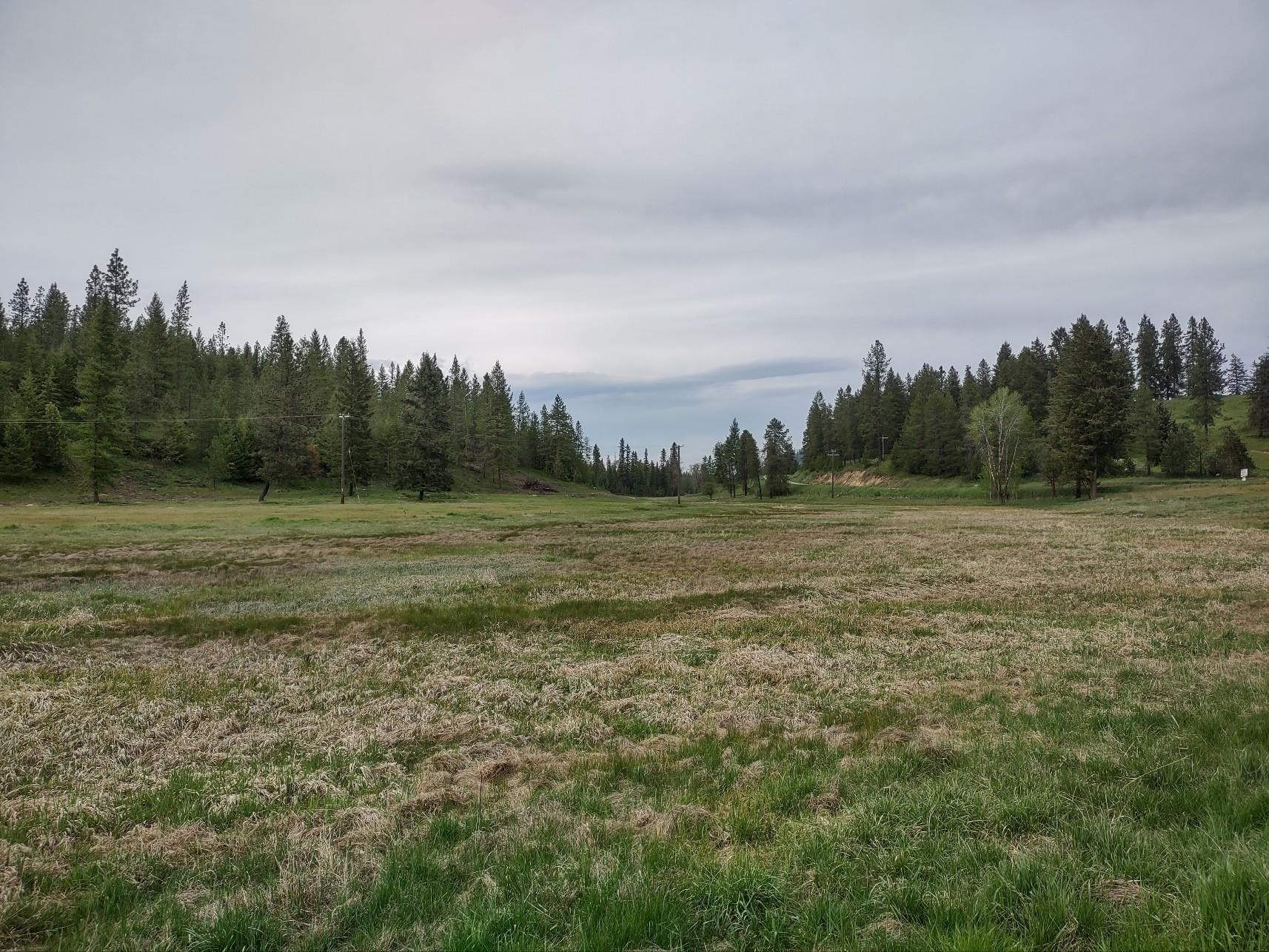 Xxx East Jumpoff Road, Unit 125 ACRES Valley, WA 99181 - Photo 9 of 11