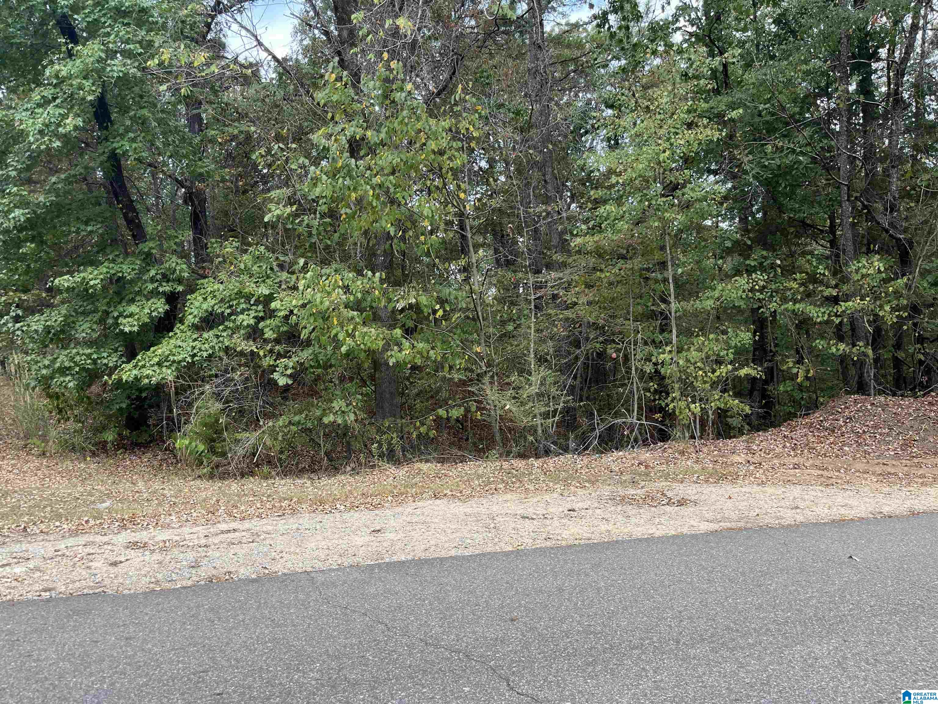 0 Deer Chase Road, Unit 16 McCalla, AL 35111 - Photo 1 of 3