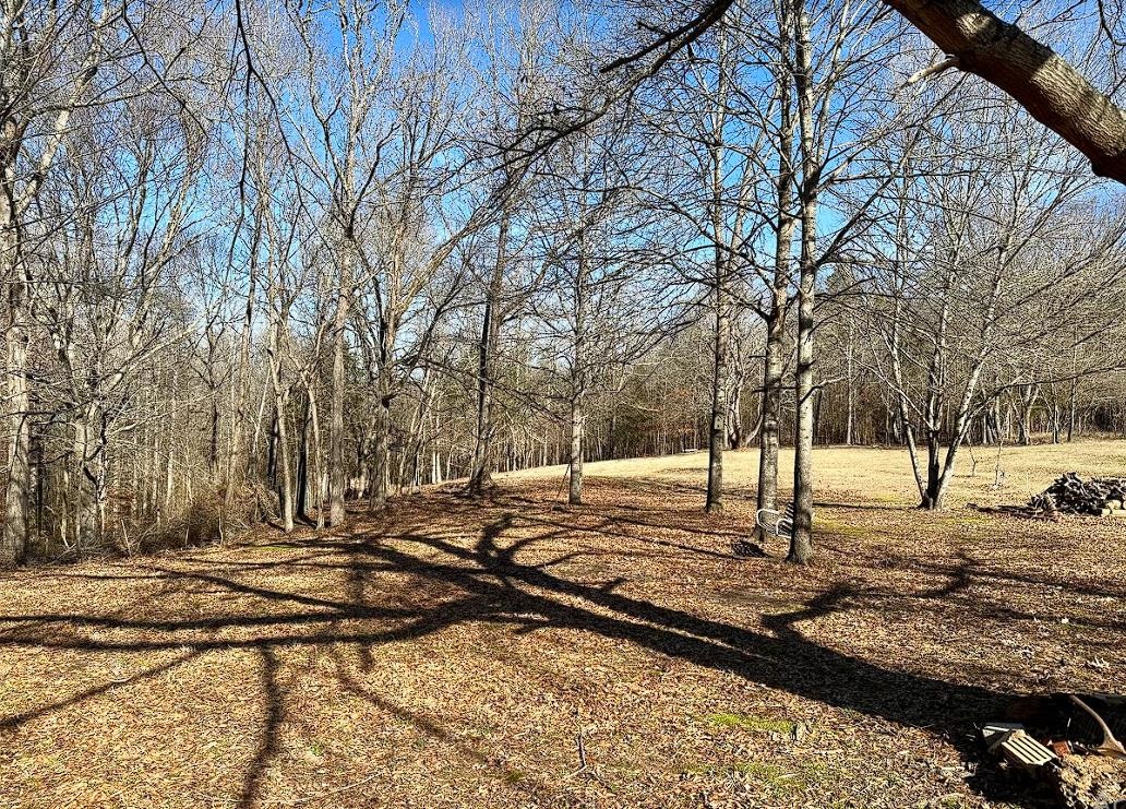 8825 Wolf Pen Road Pocahontas, TN 38061 - Photo 11 of 14 a view of a yard with snow