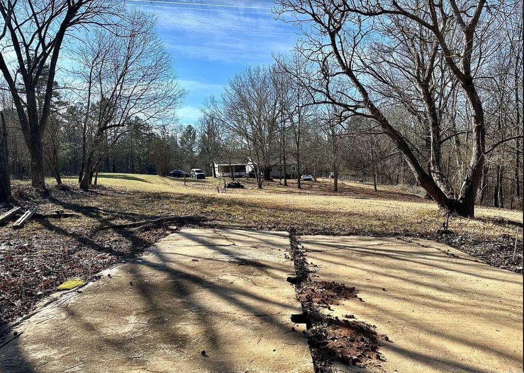 8825 Wolf Pen Road Pocahontas, TN 38061 - Photo 12 of 14 a view of a yard with snow on the road