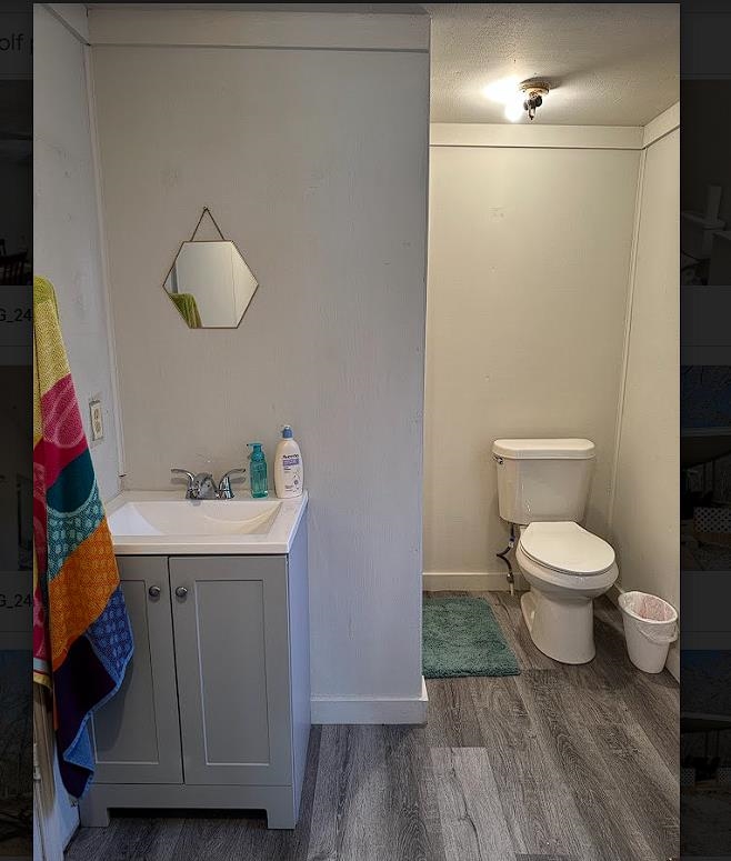 8825 Wolf Pen Road Pocahontas, TN 38061 - Photo 6 of 14 a bathroom with a toilet a sink and mirror