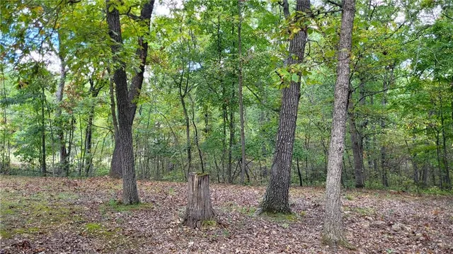 $130,000 | 28530 Shore Road, Warsaw, MO 65355