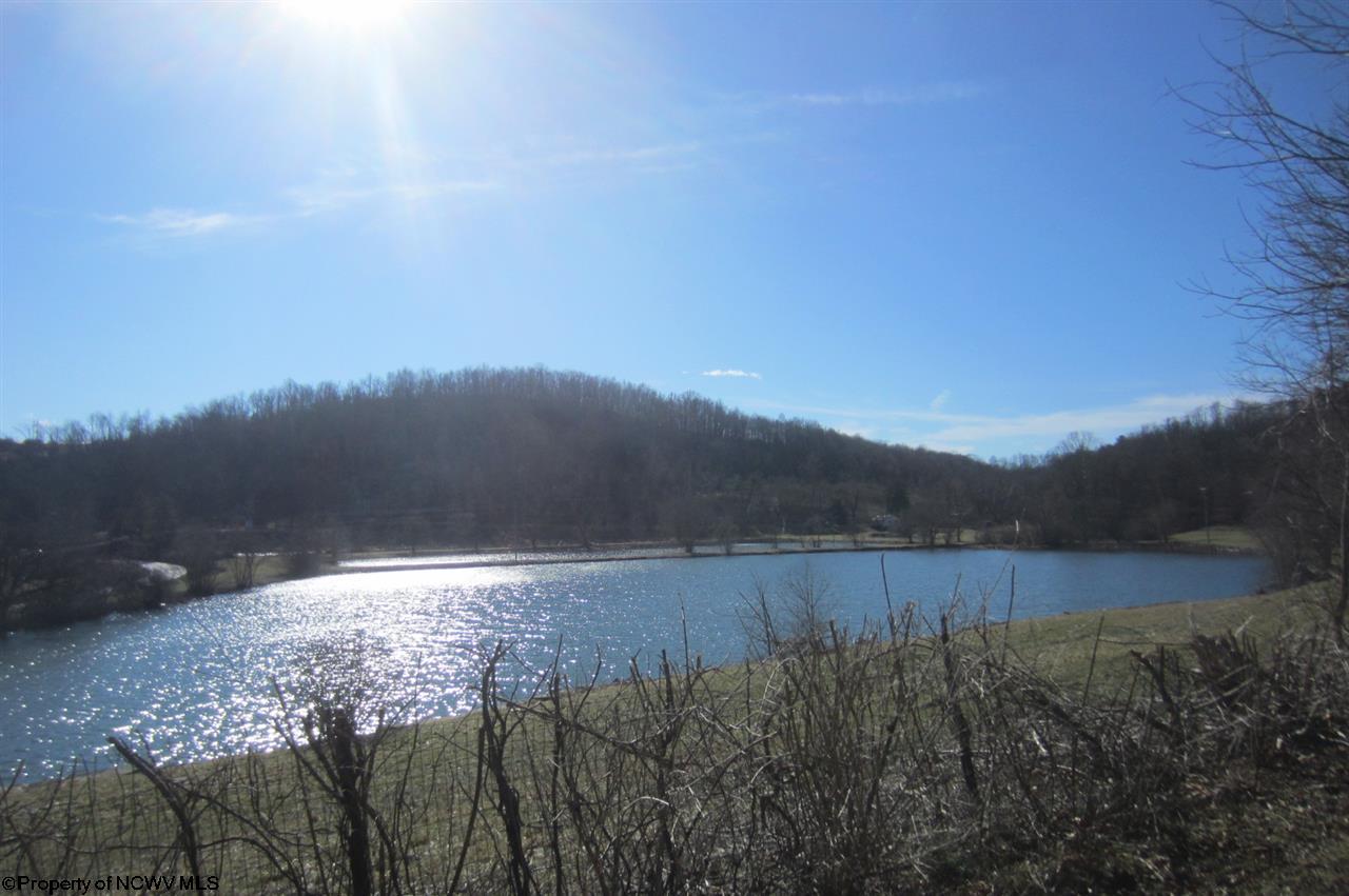 2770 Elk City Road Jane Lew, WV 26378 - Photo 4 of 20 Gallery Image 4