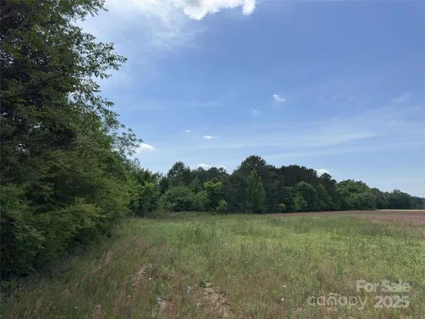 a view of a field with trees in the background