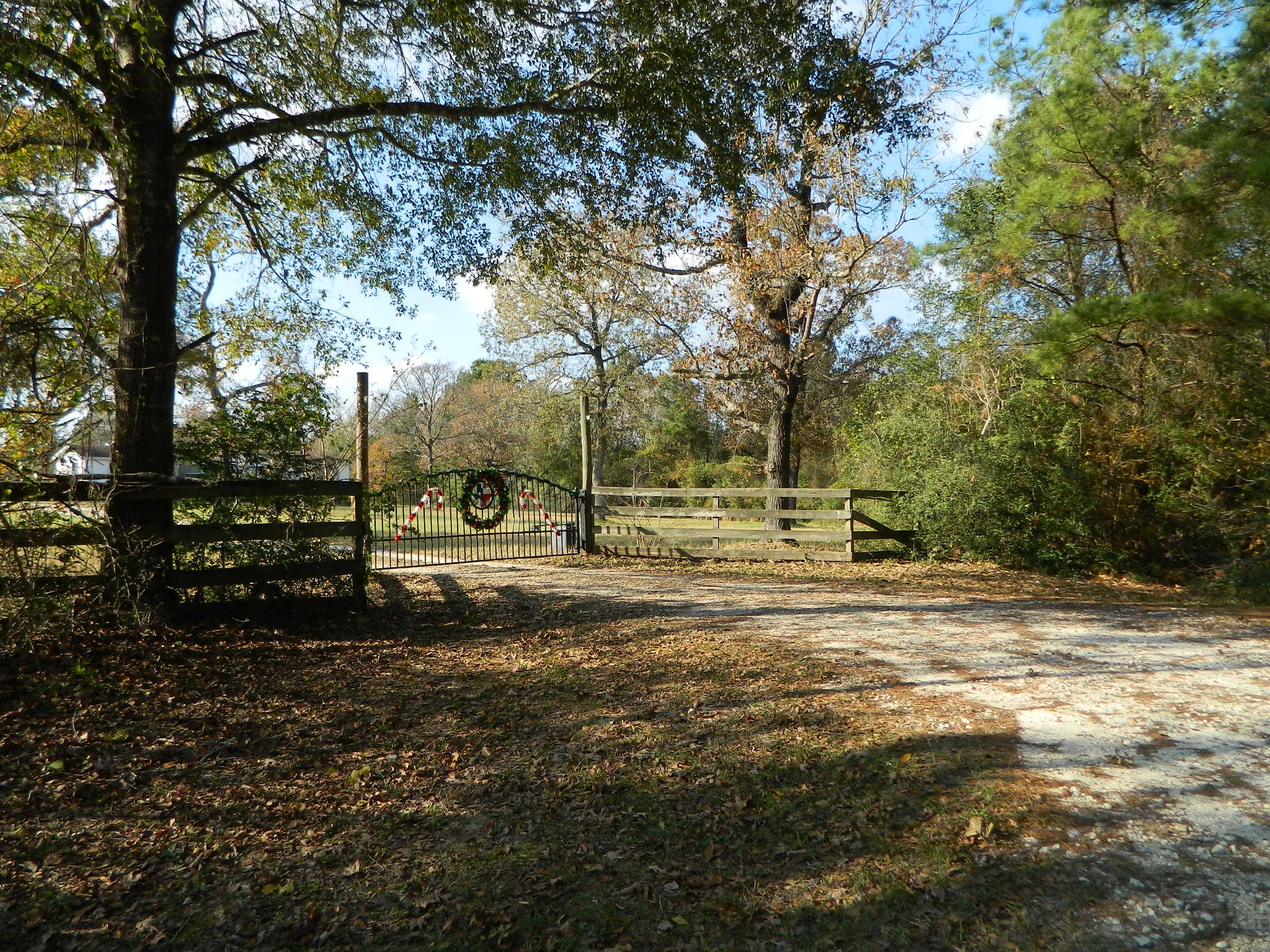 3434-2 Corrolla Magnolia, TX 77354 - Photo 32 of 40 a view of yard with tree