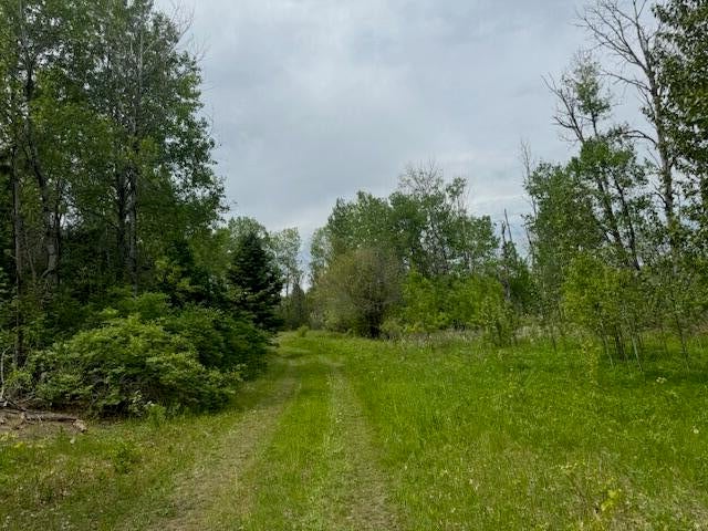 4728 Club Road Indian River, MI 49749 - Photo 7 of 12 Gallery Image 7