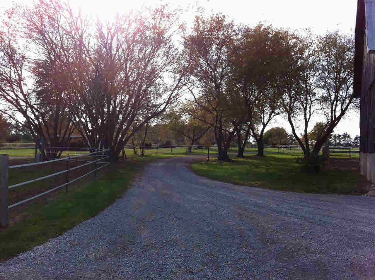 2276 South Fenner Road Caro, MI 48723 - Photo 41 of 52