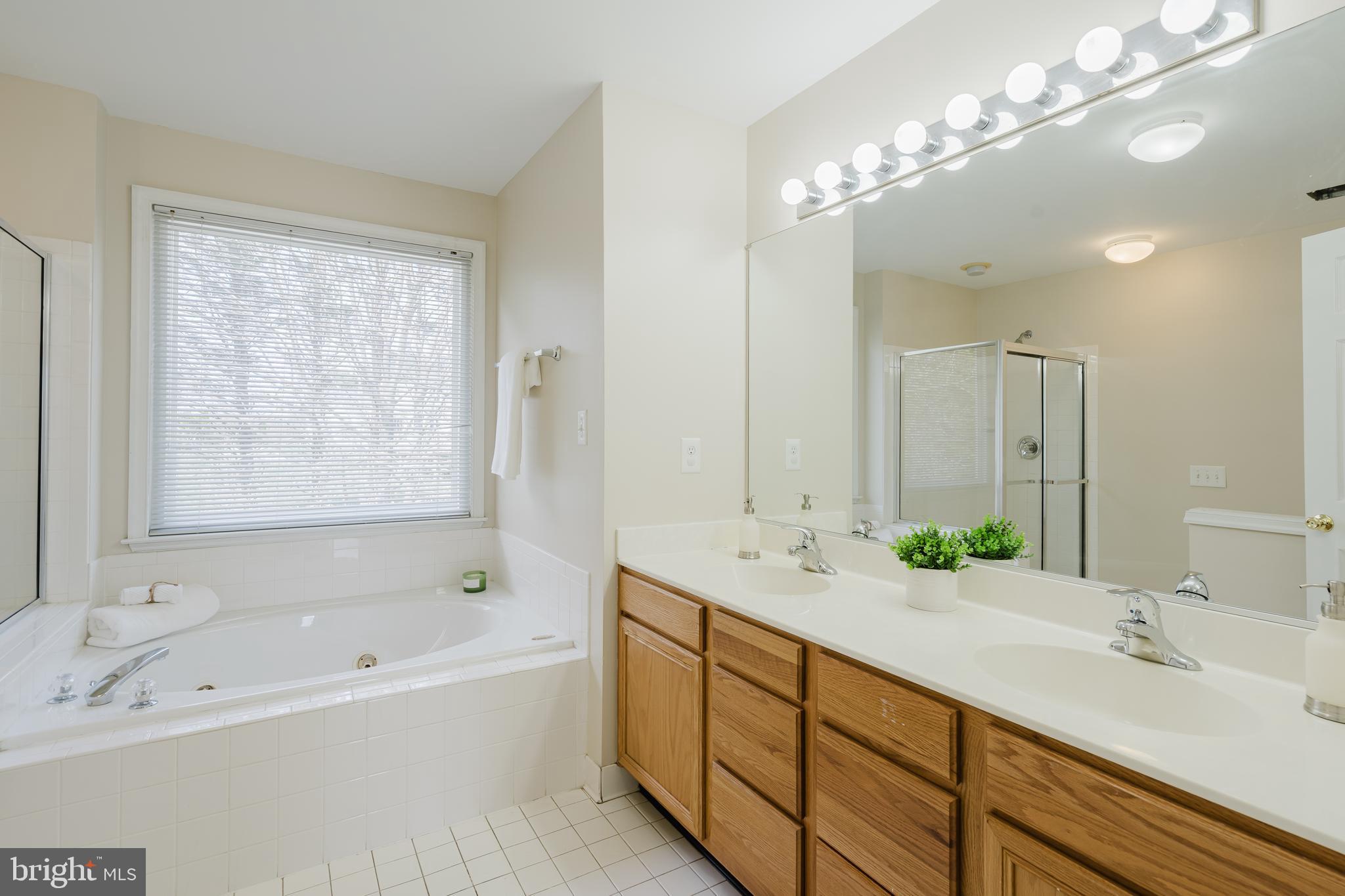 33 Hummingbird Lane Newark, DE 19711 - Photo 33 of 61 a spacious bathroom with a double vanity sink mirror and a bathtub