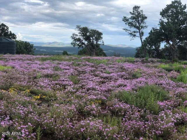 an aerial view of houses with yard