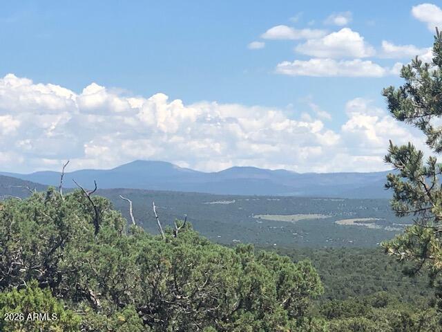 Lot 20 Mountain Pine Road Show Low, AZ 85901 - Photo 6 of 10 IMG_4942