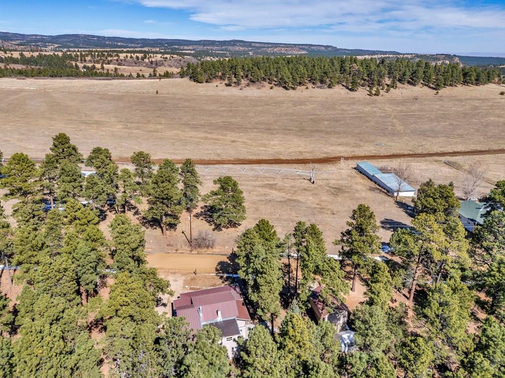 8326 Cuerna Verde Road Rye, CO 81069 - Photo 52 of 65