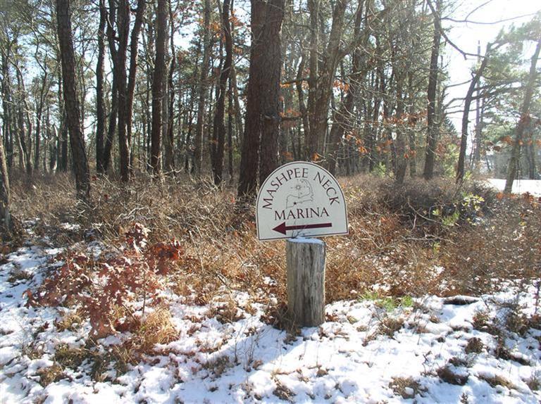 20 Jackbon Road Mashpee, MA 02649 - Photo 22 of 26 a table and chairs in a forest