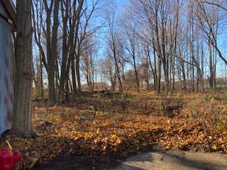 54516 Silver Street Mendon, MI 49072 - Photo 25 of 37 IMG_6035