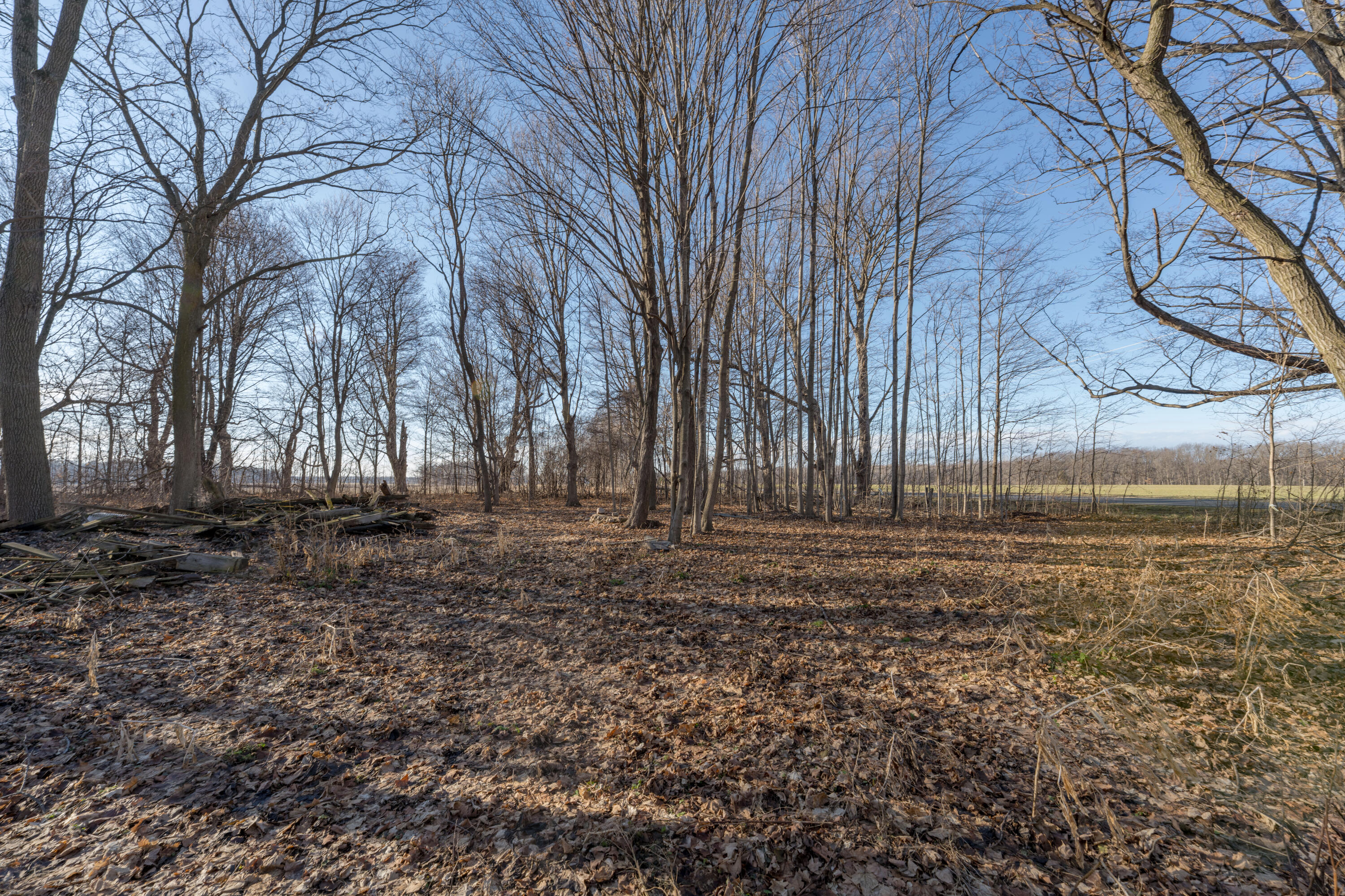 54516 Silver Street Mendon, MI 49072 - Photo 36 of 37 DSC02453