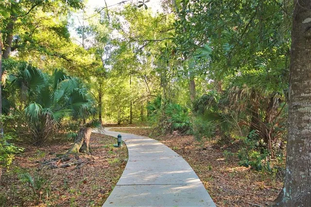 a view of an outdoor space