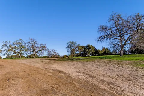 a view of a yard with a tree