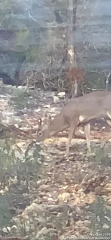 $313,000 | 424 Sierra Vista, Tarpley, TX 78883