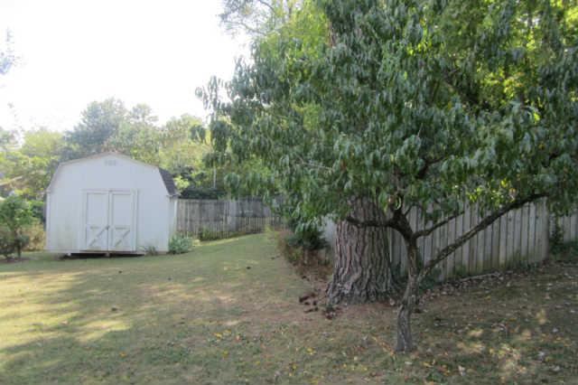 101 Eugene Road Columbia, TN 38401 - Photo 15 of 18 Storage building and backyard seen from Eugene Rd