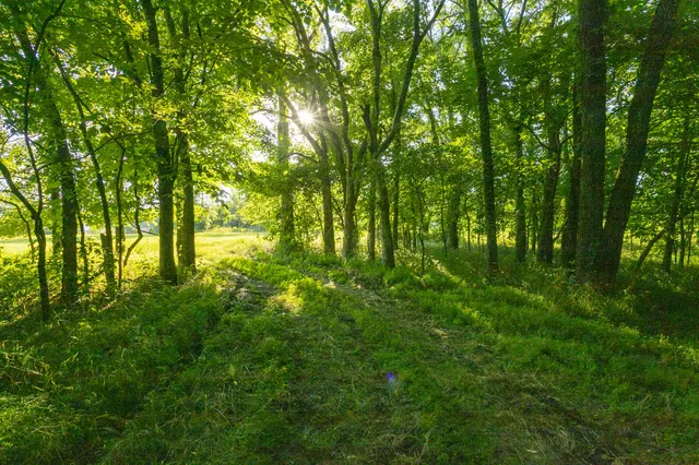 $11,000,000 | 6330 Cox Road, Arrington, TN 37014